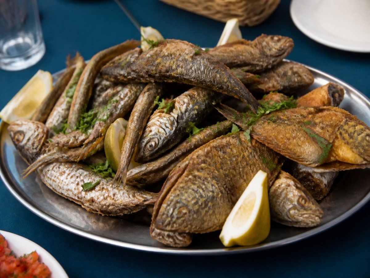 Mixed lata | Star Fish Hajjoub